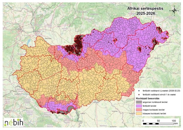 SO 31 00238-2 2026 Magas kockázatú területet elrendelő határozat afrikai sertéspestis betegség megállapítása miatt